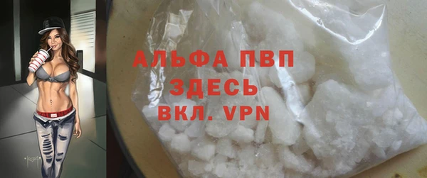 ECSTASY Бородино